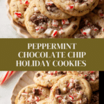 Peppermint Chocolate Chip Cookies Recipe