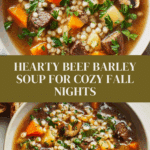 Beef Barley Soup Recipe
