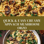 Creamy Spinach and Mushroom Orzo (30 Minutes, ONE-PAN) Recipe