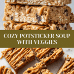 Potsticker Soup Recipe