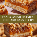 Amish Oatmeal Rhubarb Bars (with crumb topping) Recipe