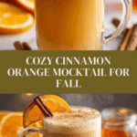 Warm Cinnamon Orange Delight Mocktail Recipe