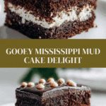 Mississippi Mud Cake Recipe