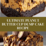 1 bowl peanut butter cup dump cake delight devours time Recipe