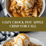 Crock Pot Apple Crisp Recipe