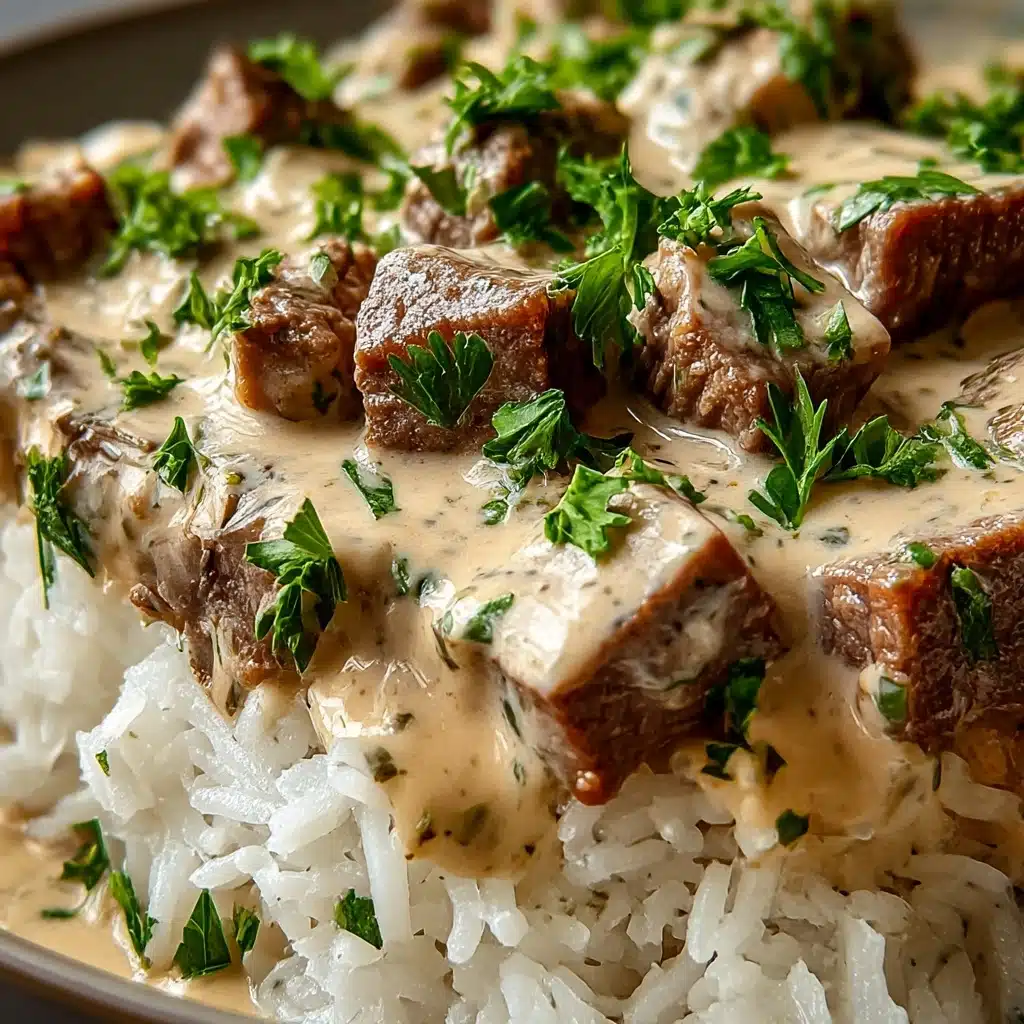 Steak Queso Rice Recipe