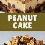 Peanut Butter Cup Dump Cake Recipe