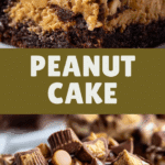 Peanut Butter Cup Dump Cake
