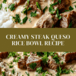 Steak Queso Rice Recipe