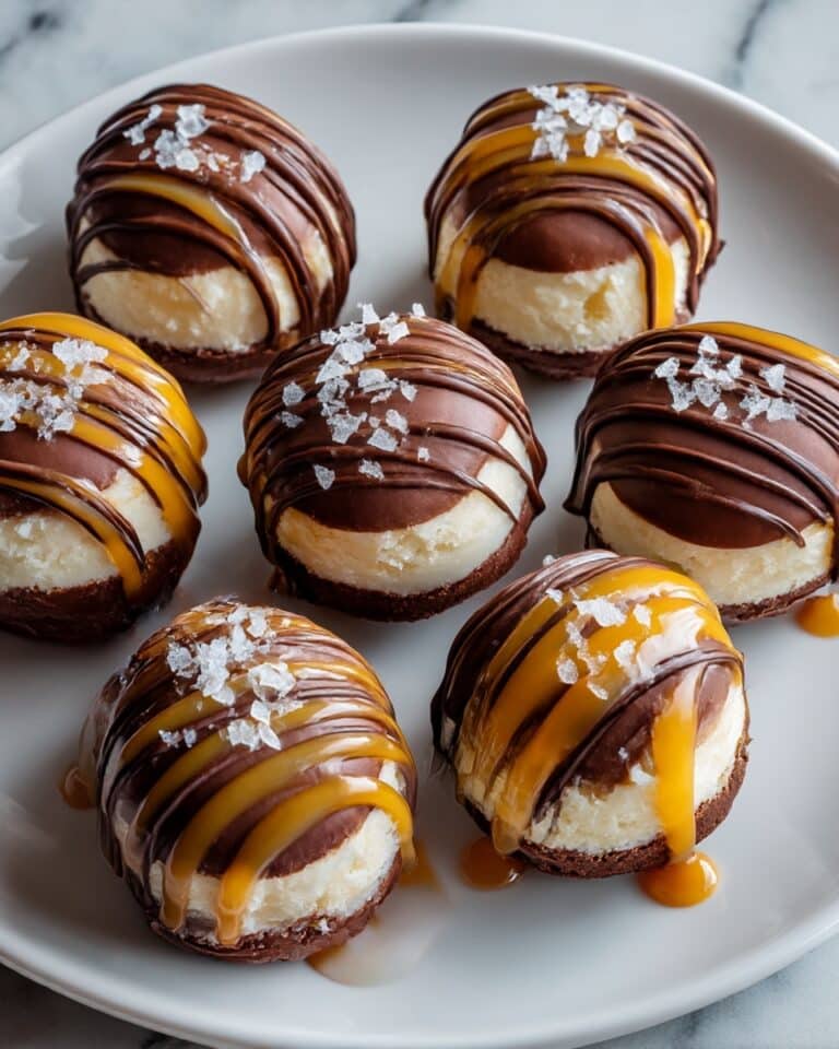 Chocolate Caramel Cheesecake Bites Recipe