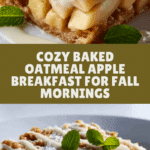 Oatmeal Apple Breakfast Bake Recipe