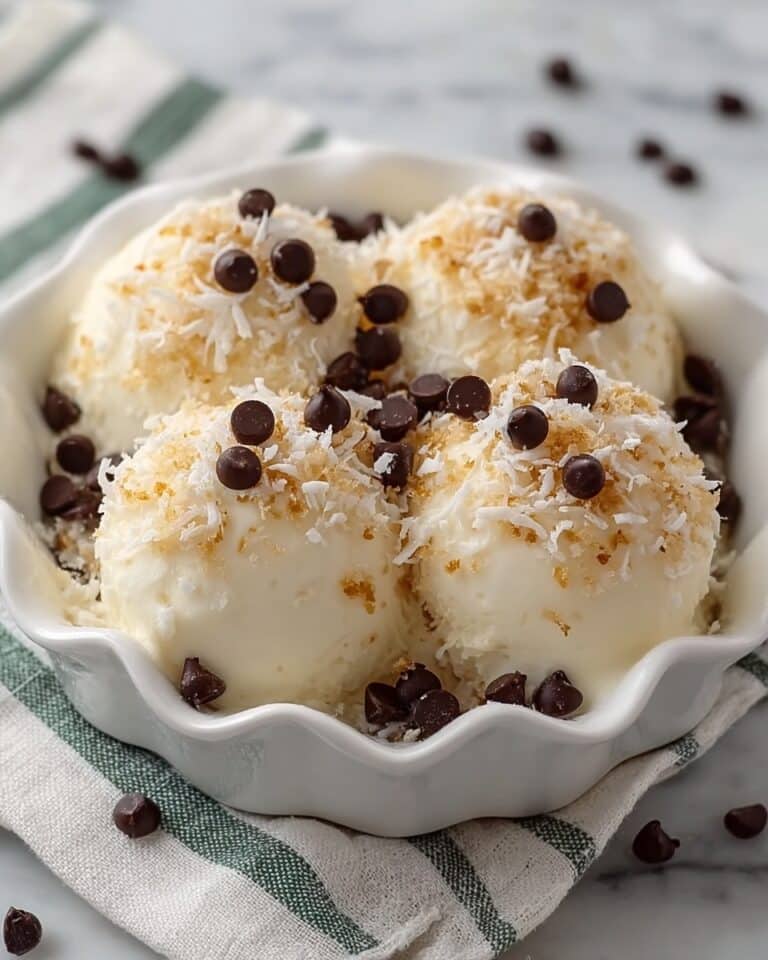 Moose Farts: No-Bake Coconut, Graham Cracker, and Chocolate Treat Recipe