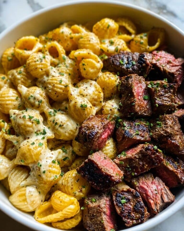 Steak Bites with Shell Pasta in Garlic Butter Alfredo Recipe