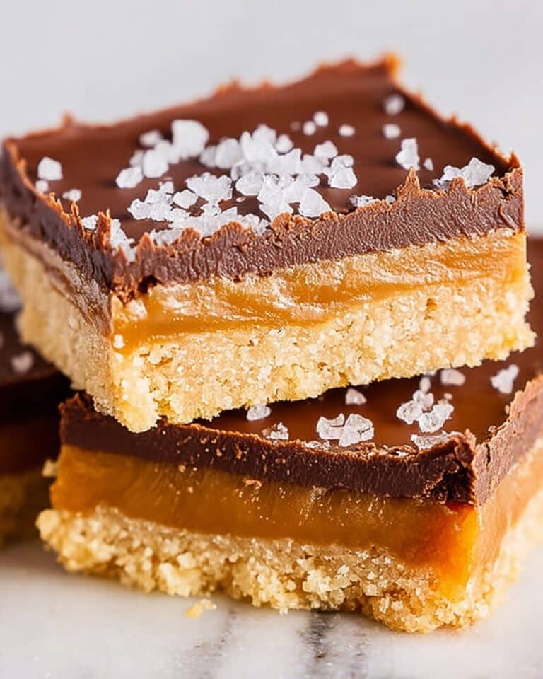 No Bake Chocolate Caramel Bars Recipe